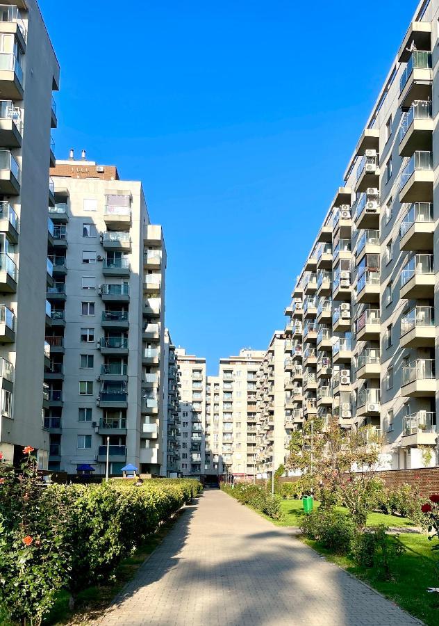 Wood Story - Modern 1br Near Center With Parking * Bucharest