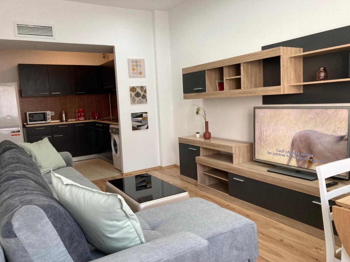 Laroka House Rin Grand Modern * Bucareste