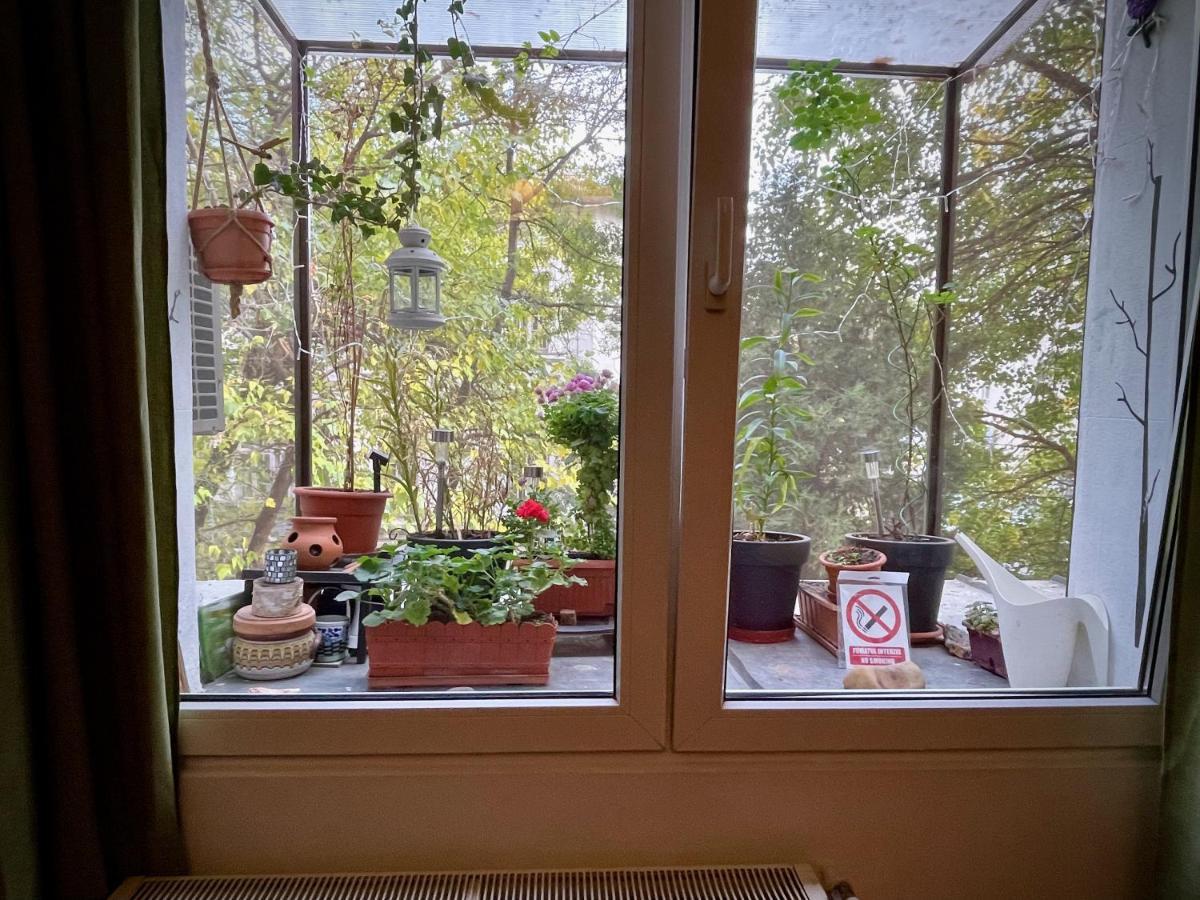 Apartamento Mayahouse