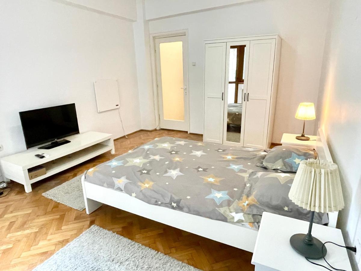 Apartment Calea Victoriei Central Studio Bucharest