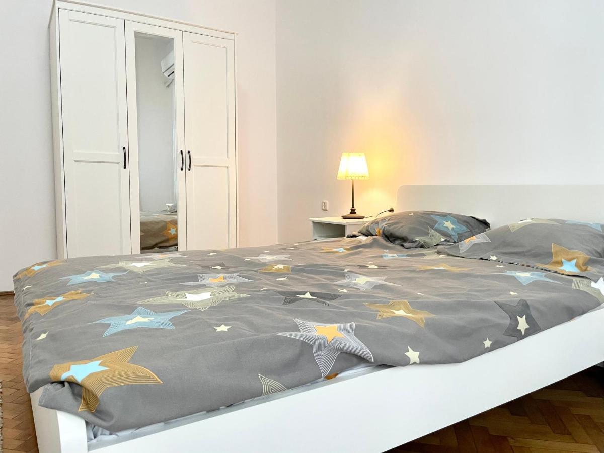 Calea Victoriei Central Studio Apartment