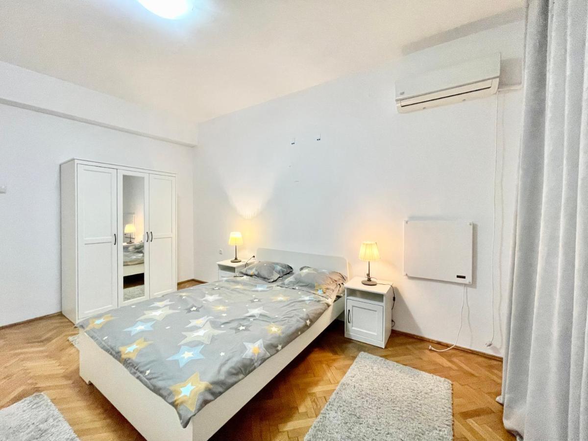 Calea Victoriei Central Studio Apartment