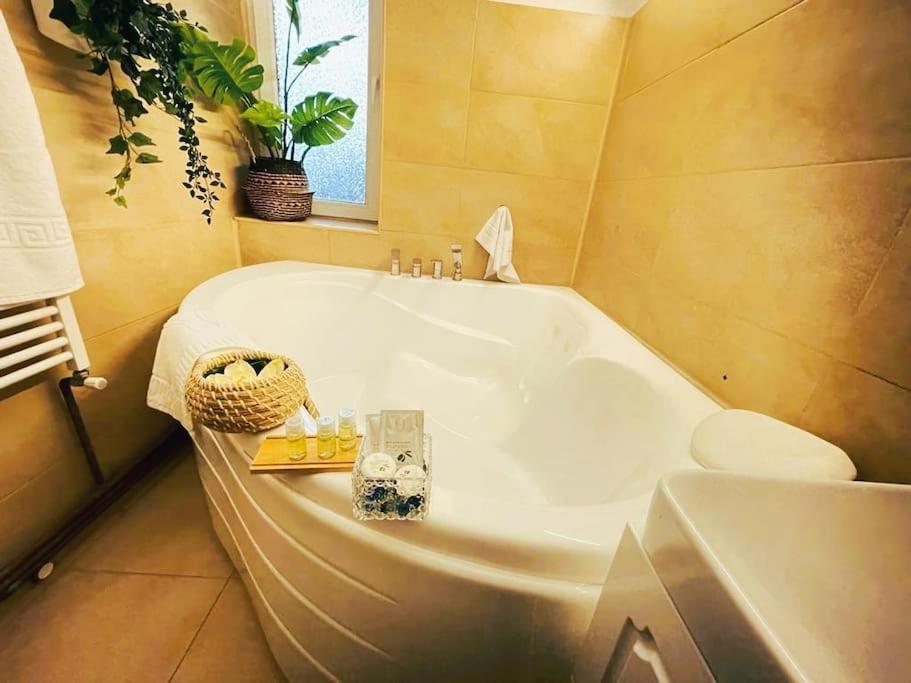 Magnolia 2bdr Apt Piata Romana- Piata Victoriei