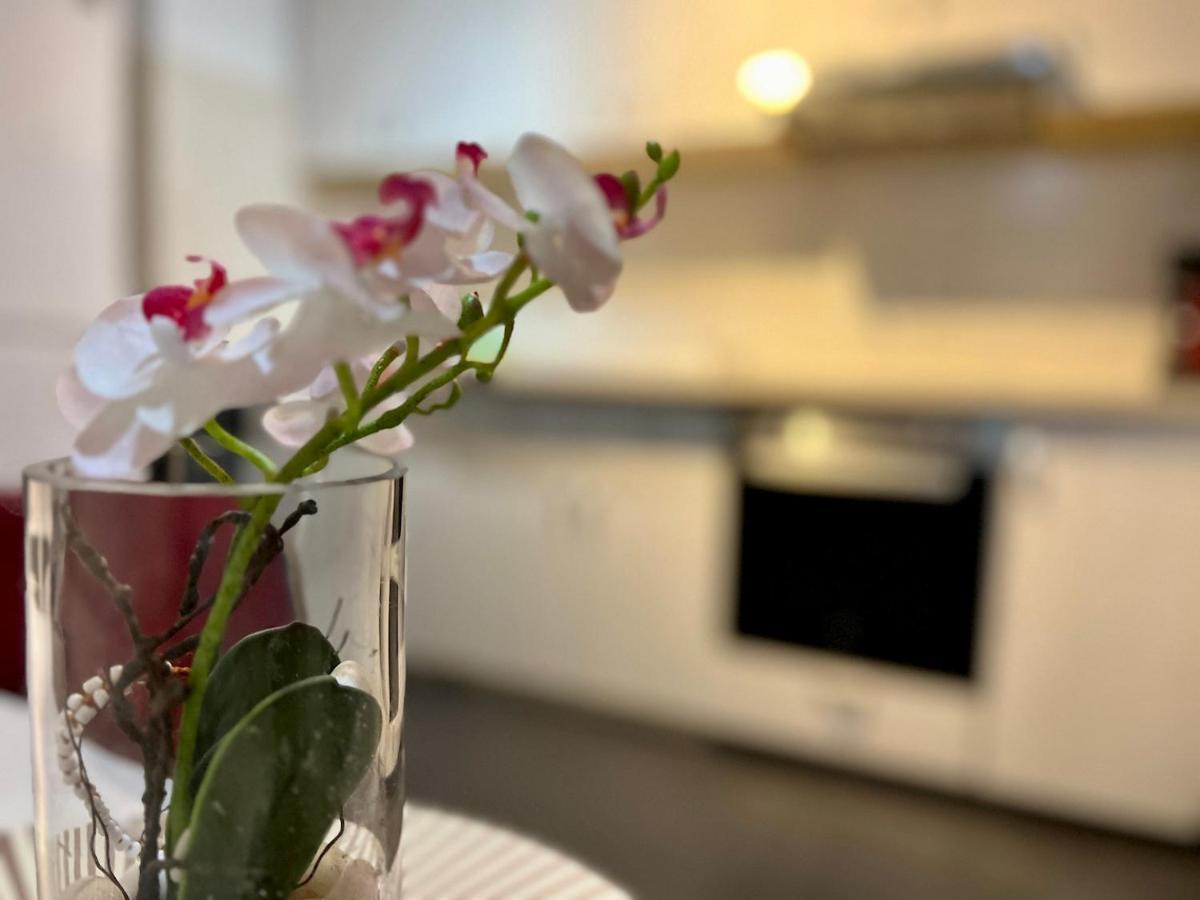 Moghioros Park Apartament