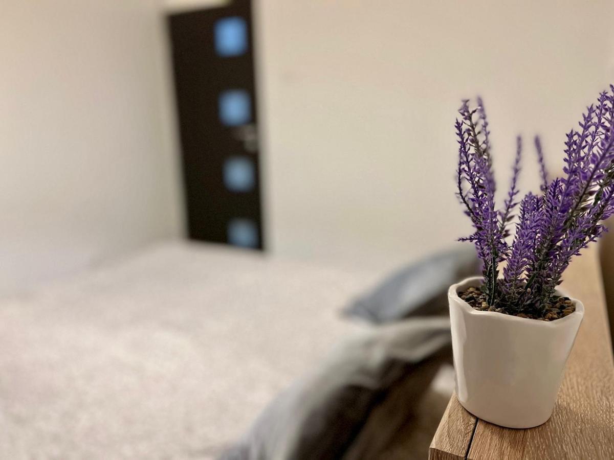 Moghioros Park Apartament