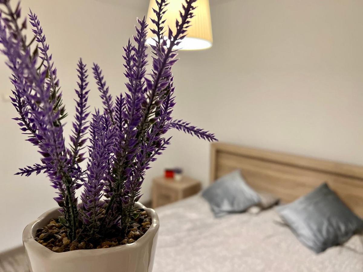 Moghioros Park Apartament * Bucureşti