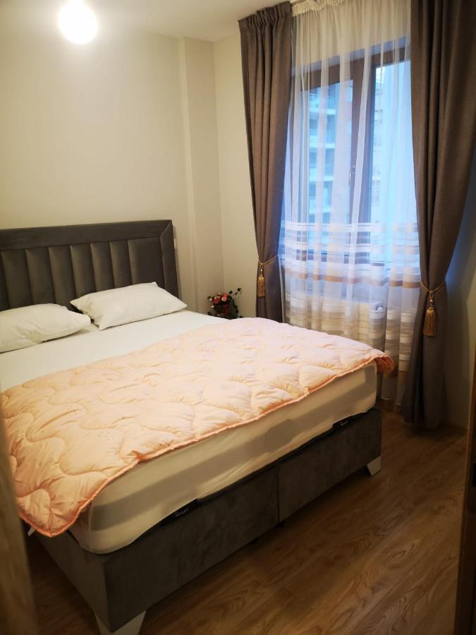 Alexhome Lux 27 Free Parking * Bucharest