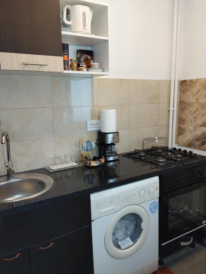 Apartamento Elegance Studio Veteranilor