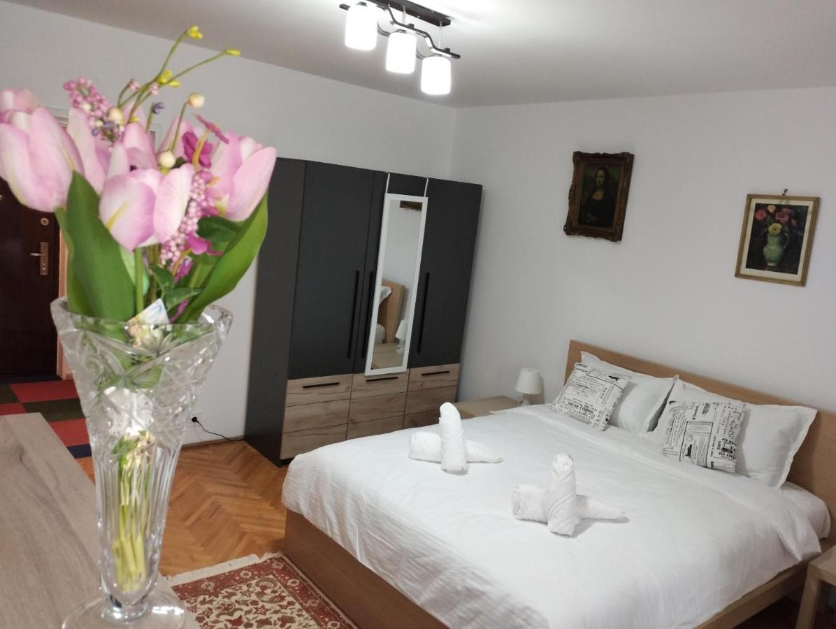 Apartamento Elegance Studio Veteranilor *