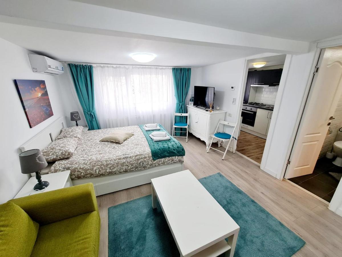 Modern Studio Park Carol Unirii - Lam1 Apartment Bucharest