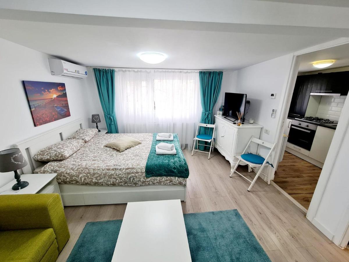 Modern Studio Park Carol Unirii - Lam1 Bucharest