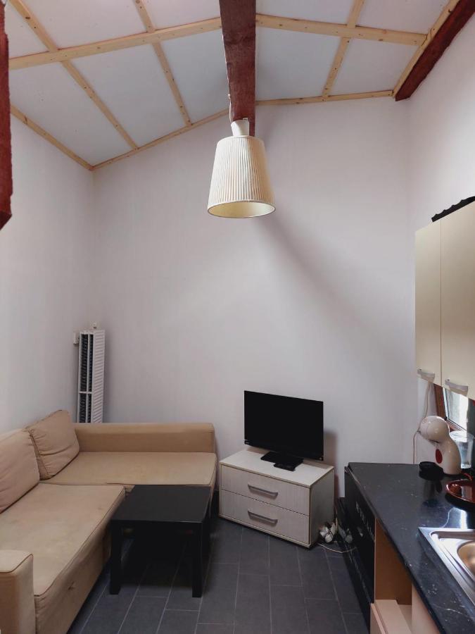 Studio Cochet In Centrul Bucurestiului *