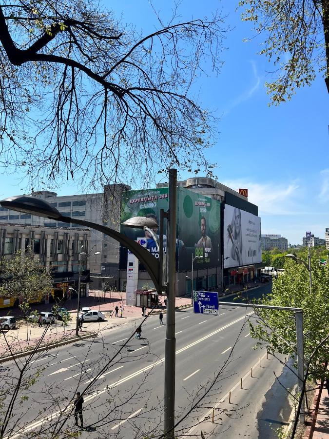 Sada Art Gallery * Bucharest