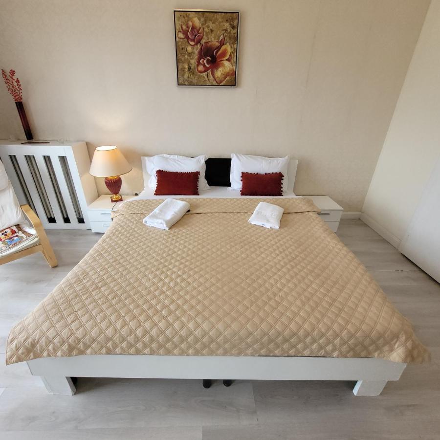 Apartment Anastasia Bratianu 24b Beautiful View Self Check From 2 Pm *