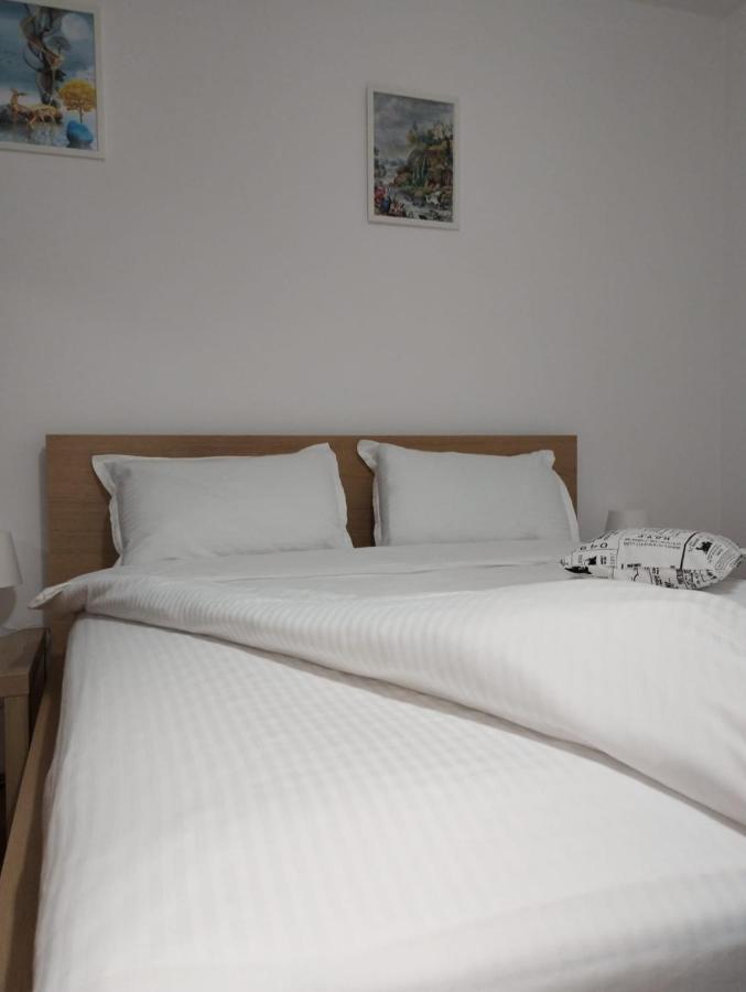 Elegance Studio Veteranilor Apartamento *