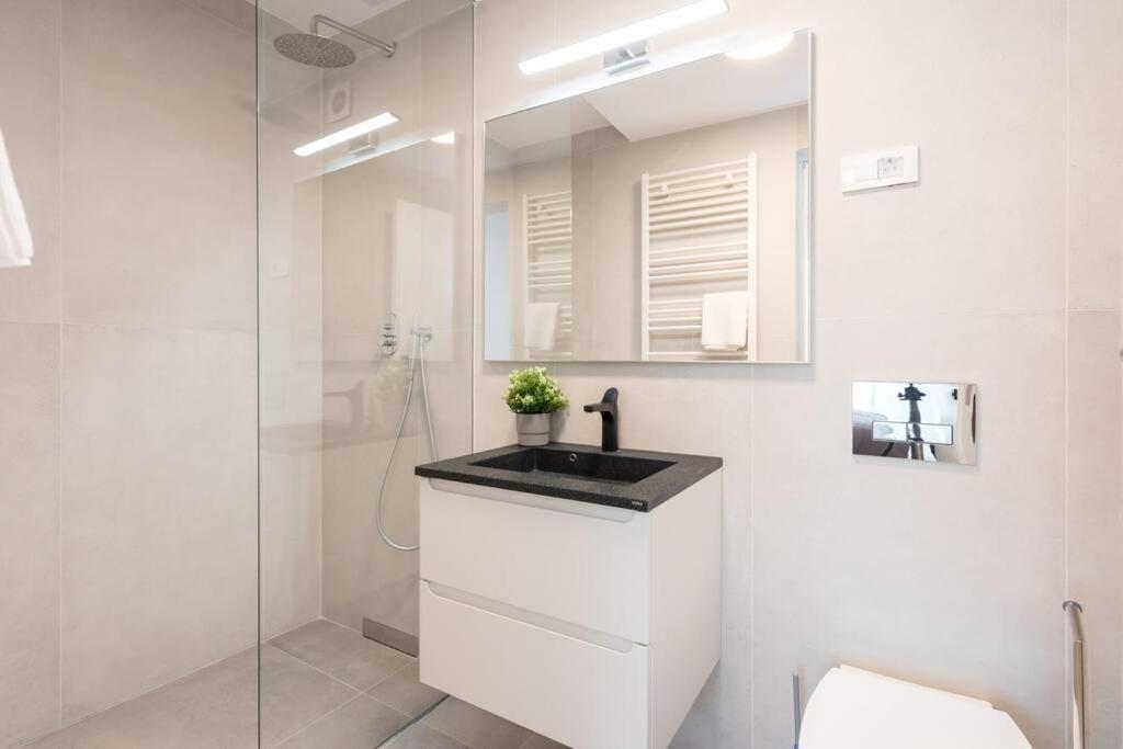 Apartment Luxurious New Penthouse + Parking Bucharest
