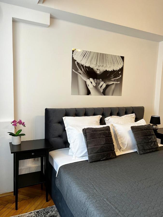 View - Luxury - Sanador Victoriei *