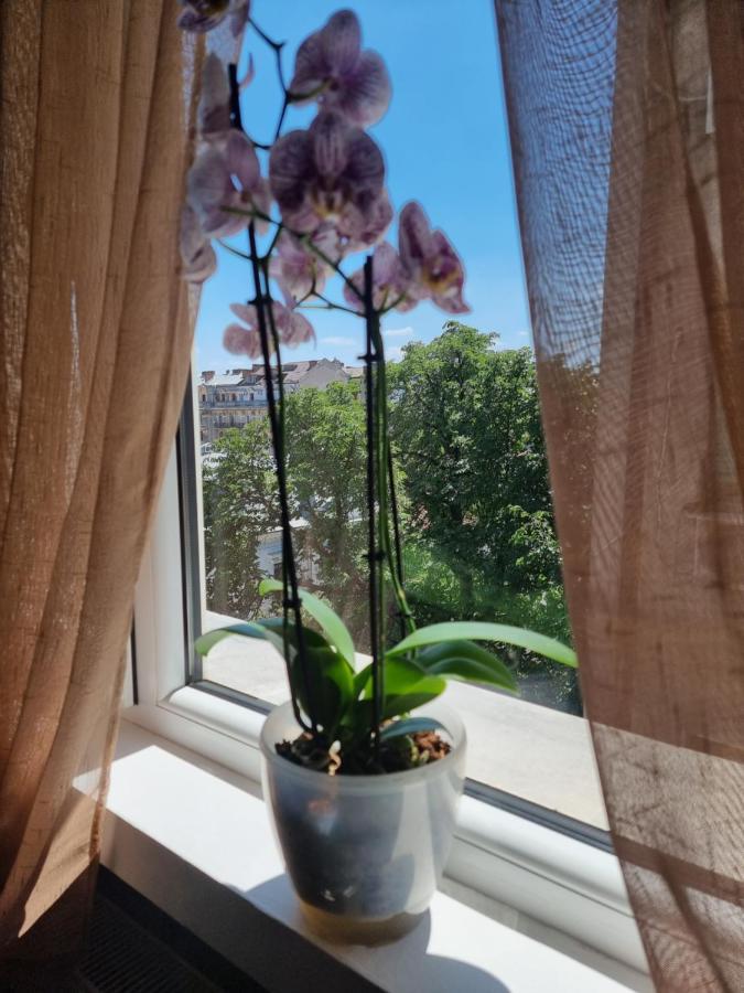 Apartment Victoriei - The Historical Part