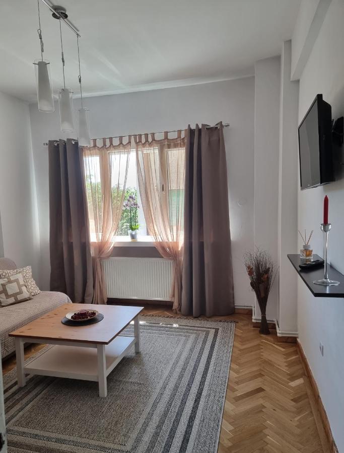 Apartment Victoriei - The Historical Part