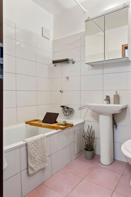 Welcoming Flat Iancului Apartment