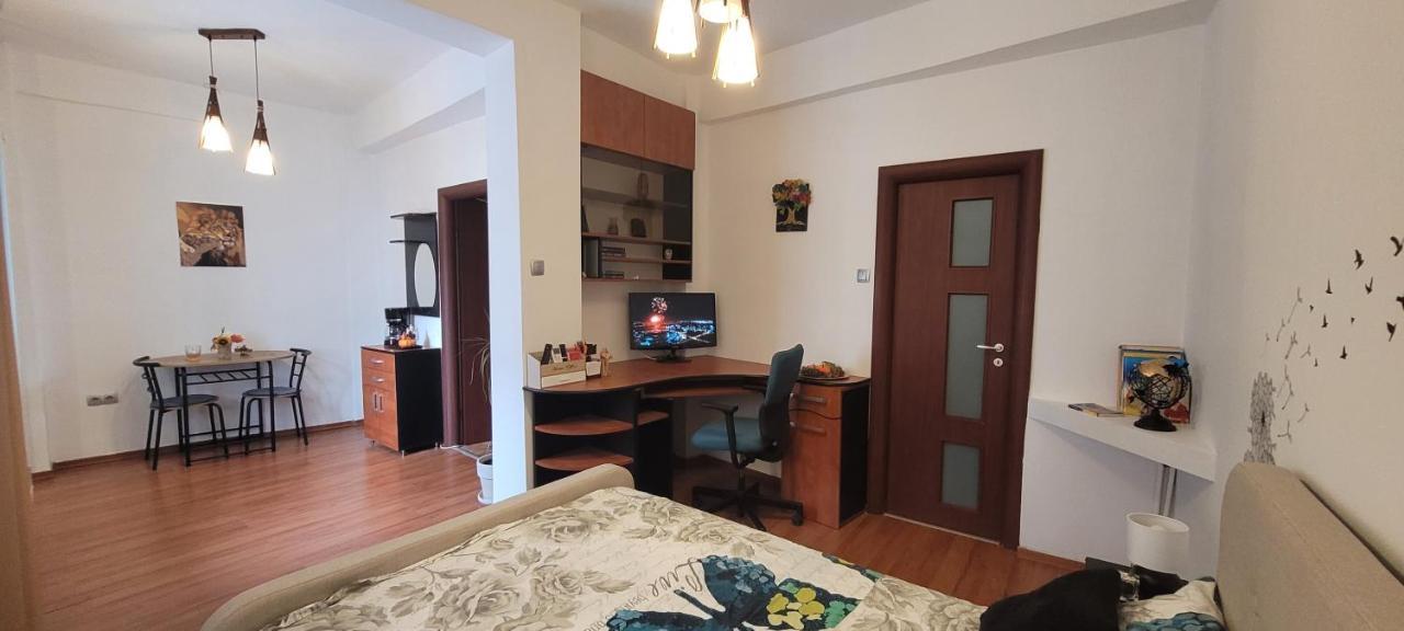 Cismigiu Studio Apartment *