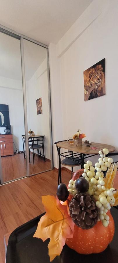 Cismigiu Studio