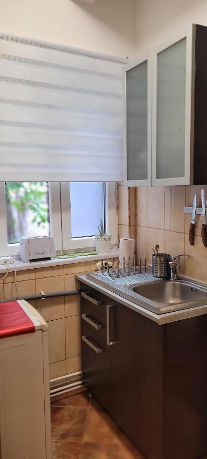 Cismigiu Studio Apartment Bucharest