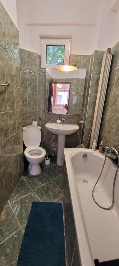 Cismigiu Studio Apartment