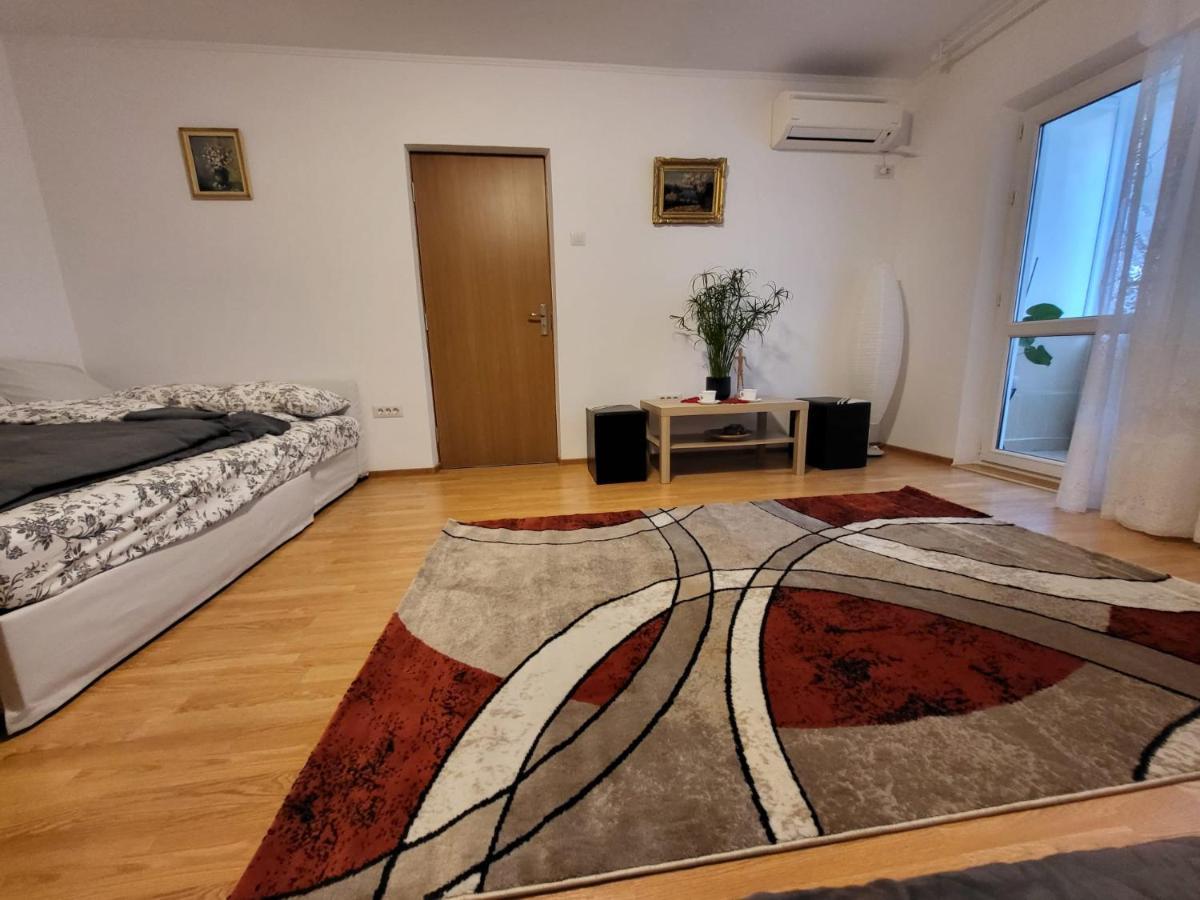 Apartment Large And Comfortable Mall Vitan Area