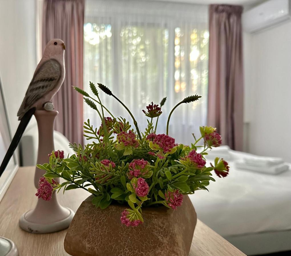 Apartment Xox Comfort Obregia