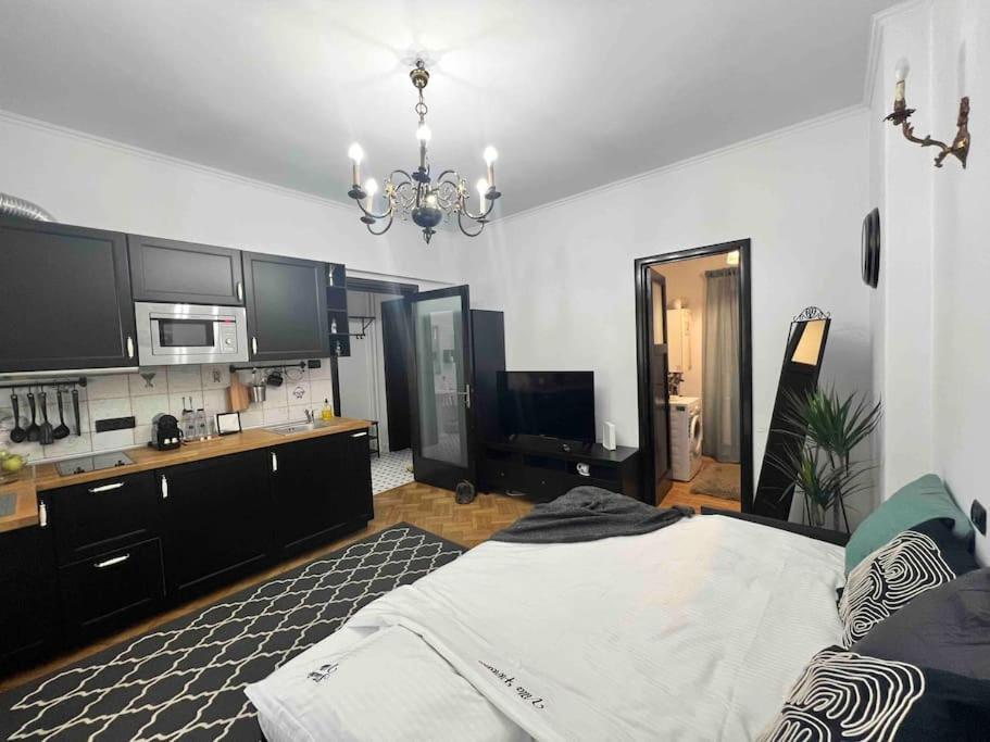Floreasca Apartment Bucharest