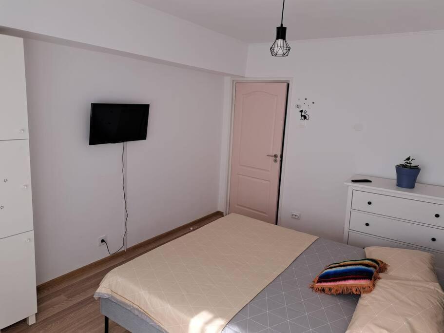 Apartament Titulescu/banu Manta Apartment