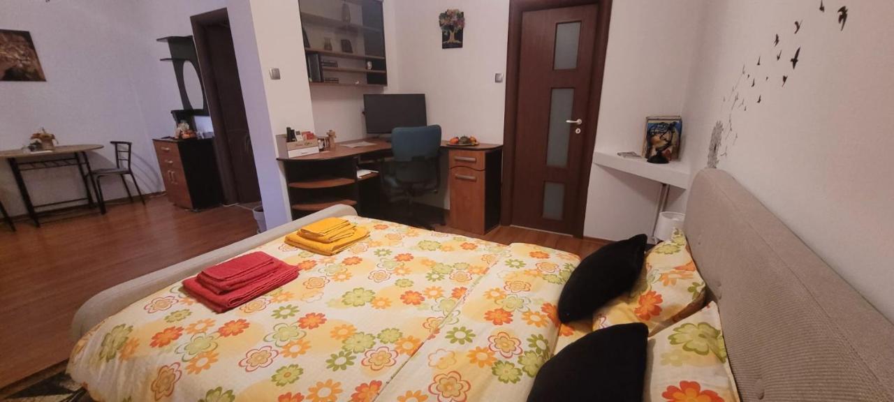 Cismigiu Studio Apartment