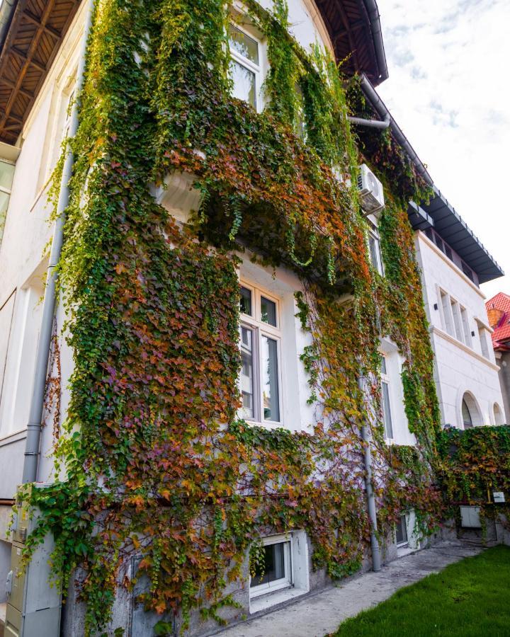 Apartament Mansarda Cotroceni Bucureşti