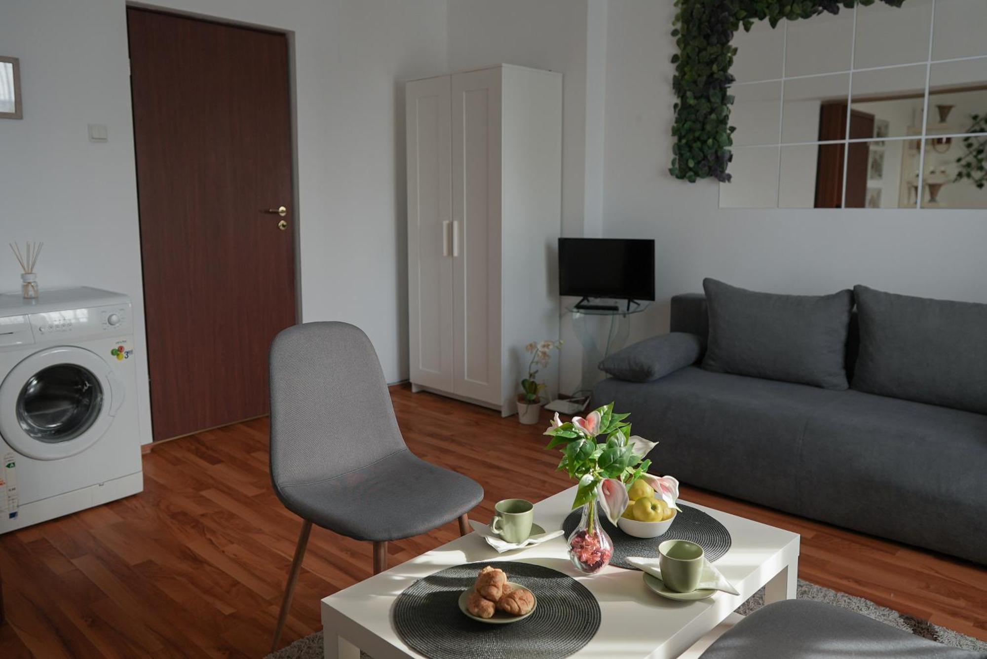 Apartment Victoria Avenue Bucharest