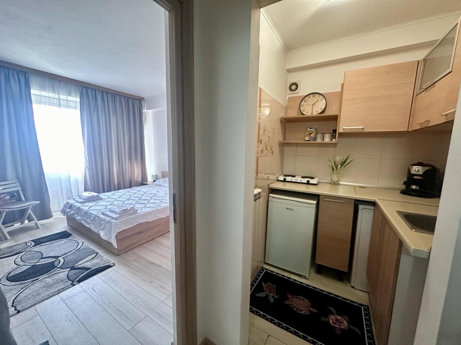 Apartament Downtown Calea Victoriei Ultracentral *