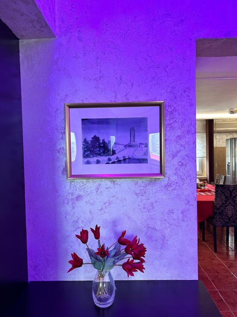 Apartment Centrul Vechi Biblioteca Nationala Bucharest