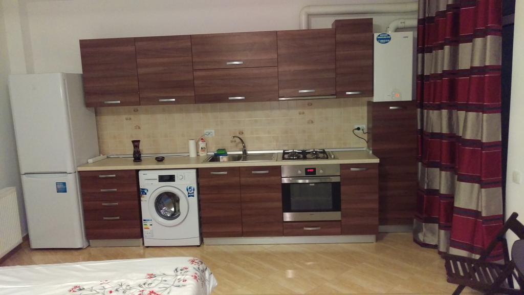 Apartment Garsoniere Dinu