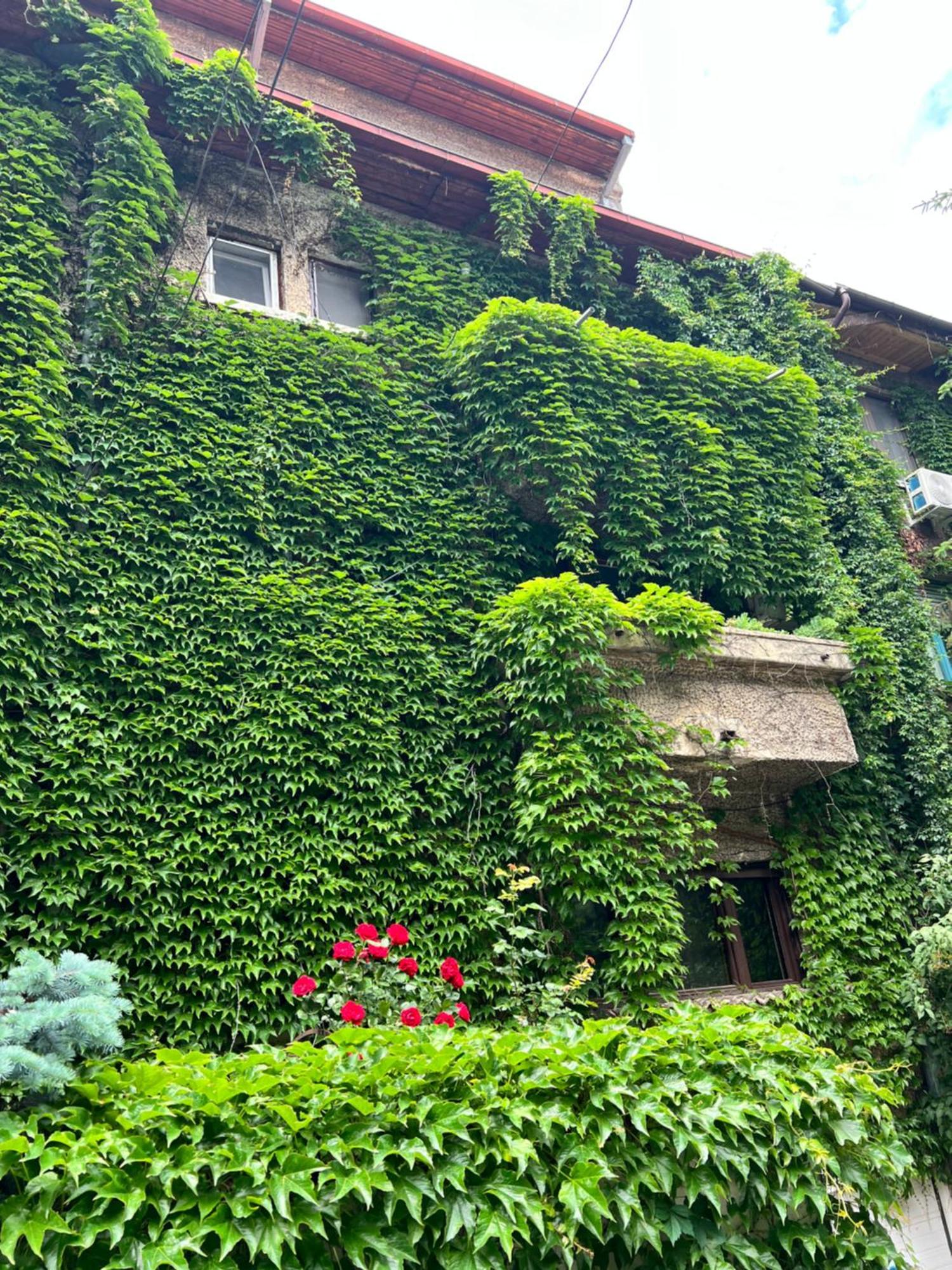 Apartment Floreasca Bucharest