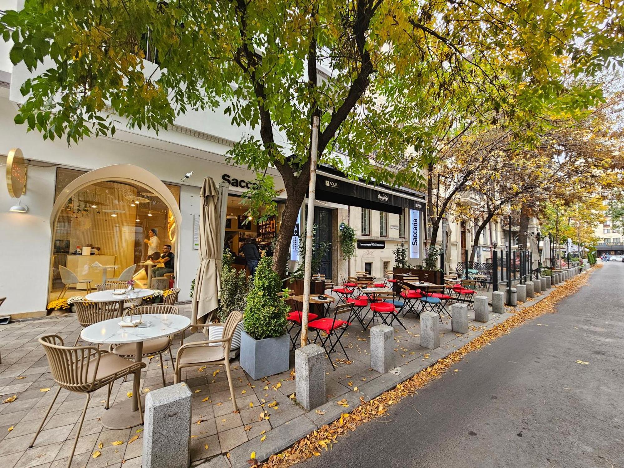 Historic Charm Meets Modern Comfort: Athenaeum 2br Apartment