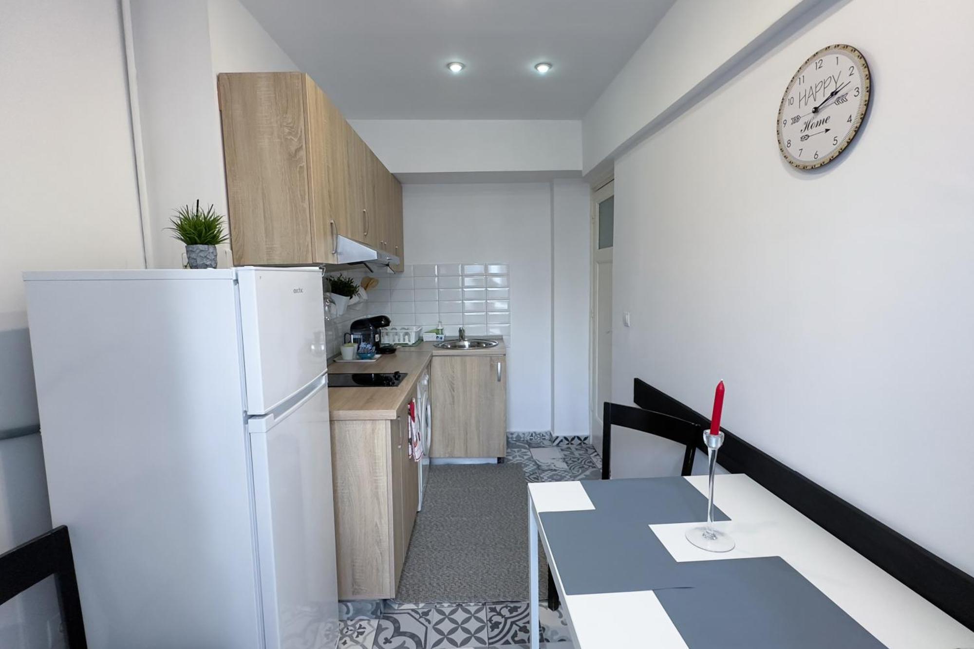 Apartment Victoriei - The Historical Part