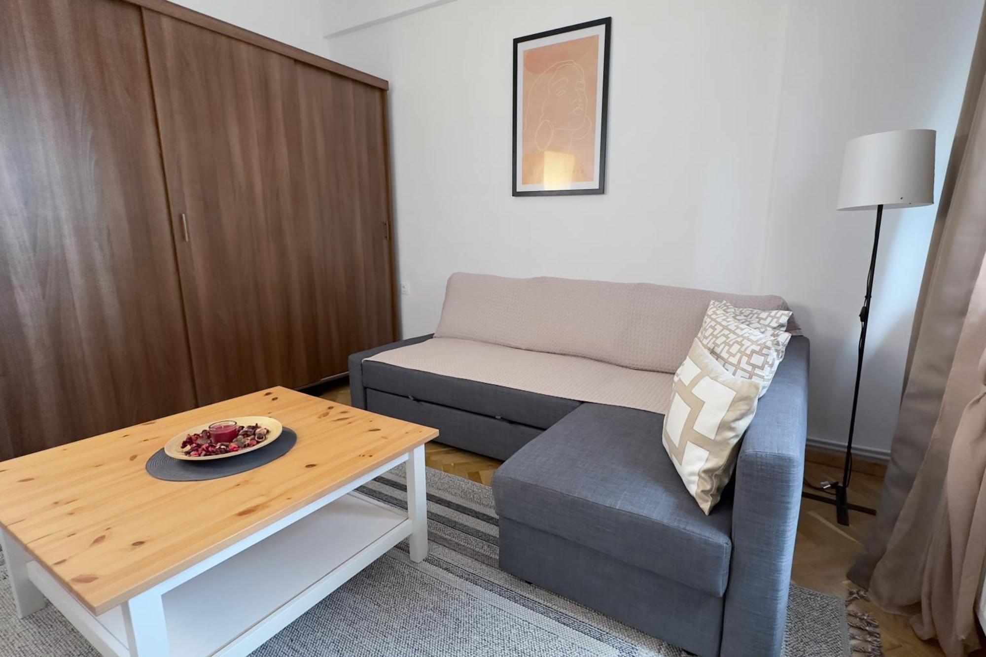 Apartment Victoriei - The Historical Part