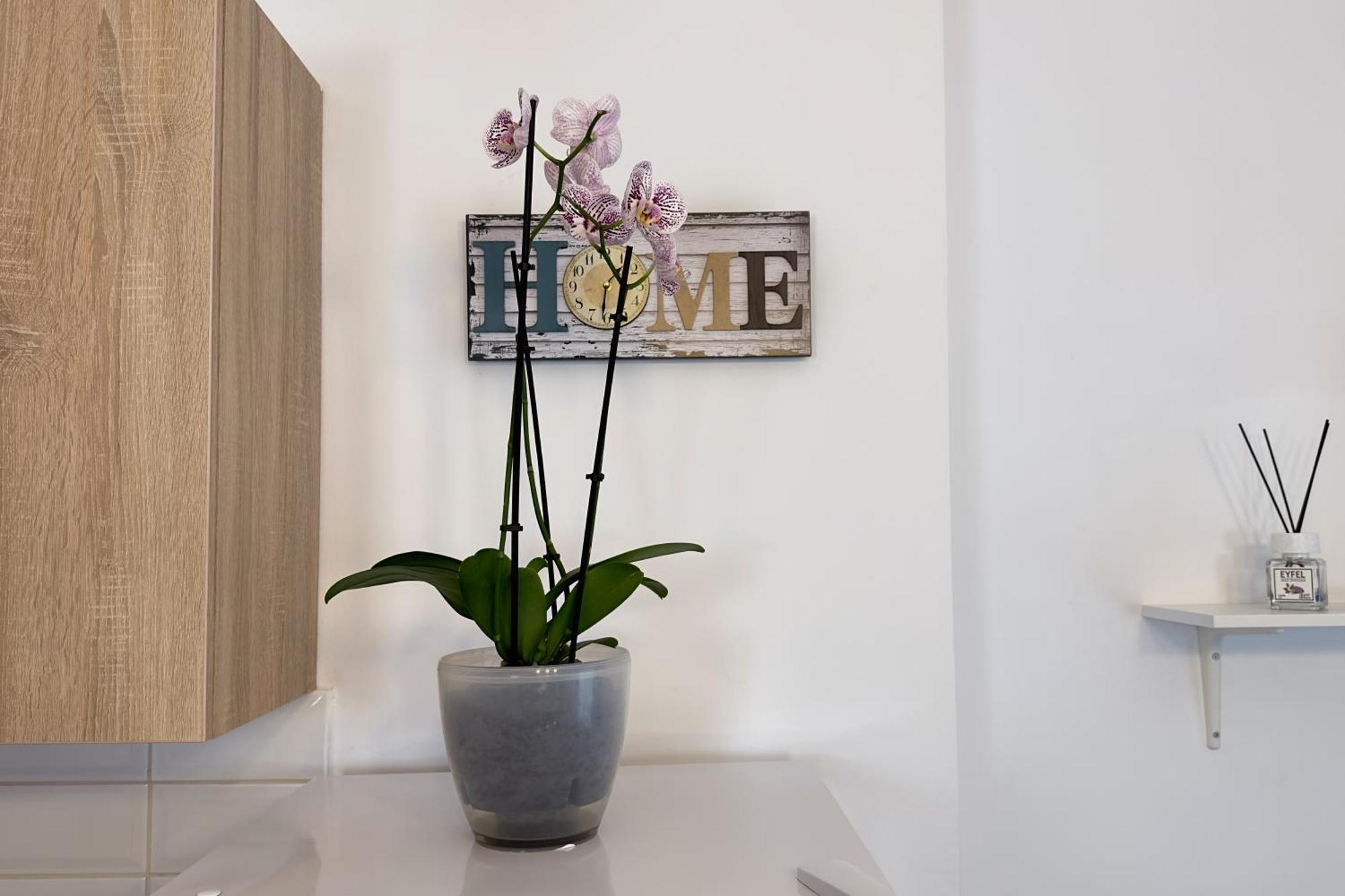 Apartment Victoriei - The Historical Part Bucharest
