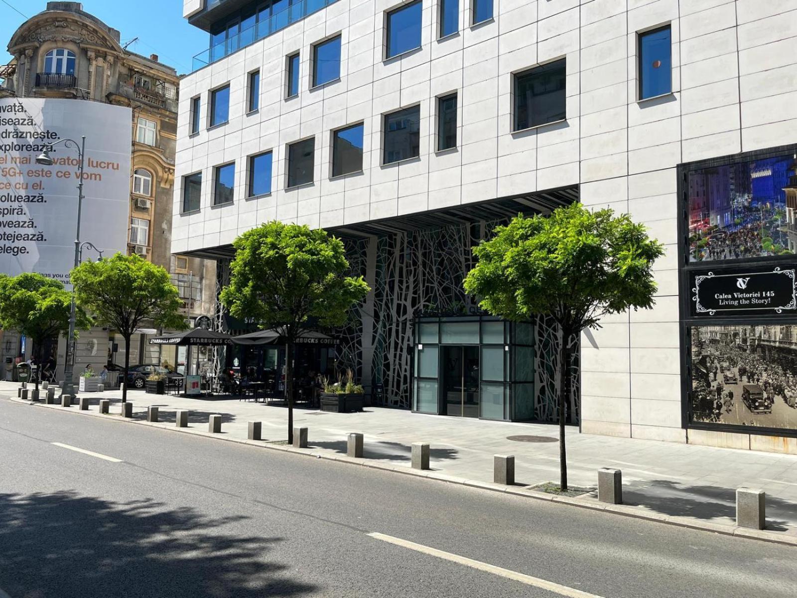 Apartment Victoriei - The Historical Part *