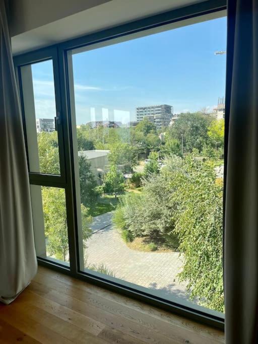 Apartment Herastrau New *