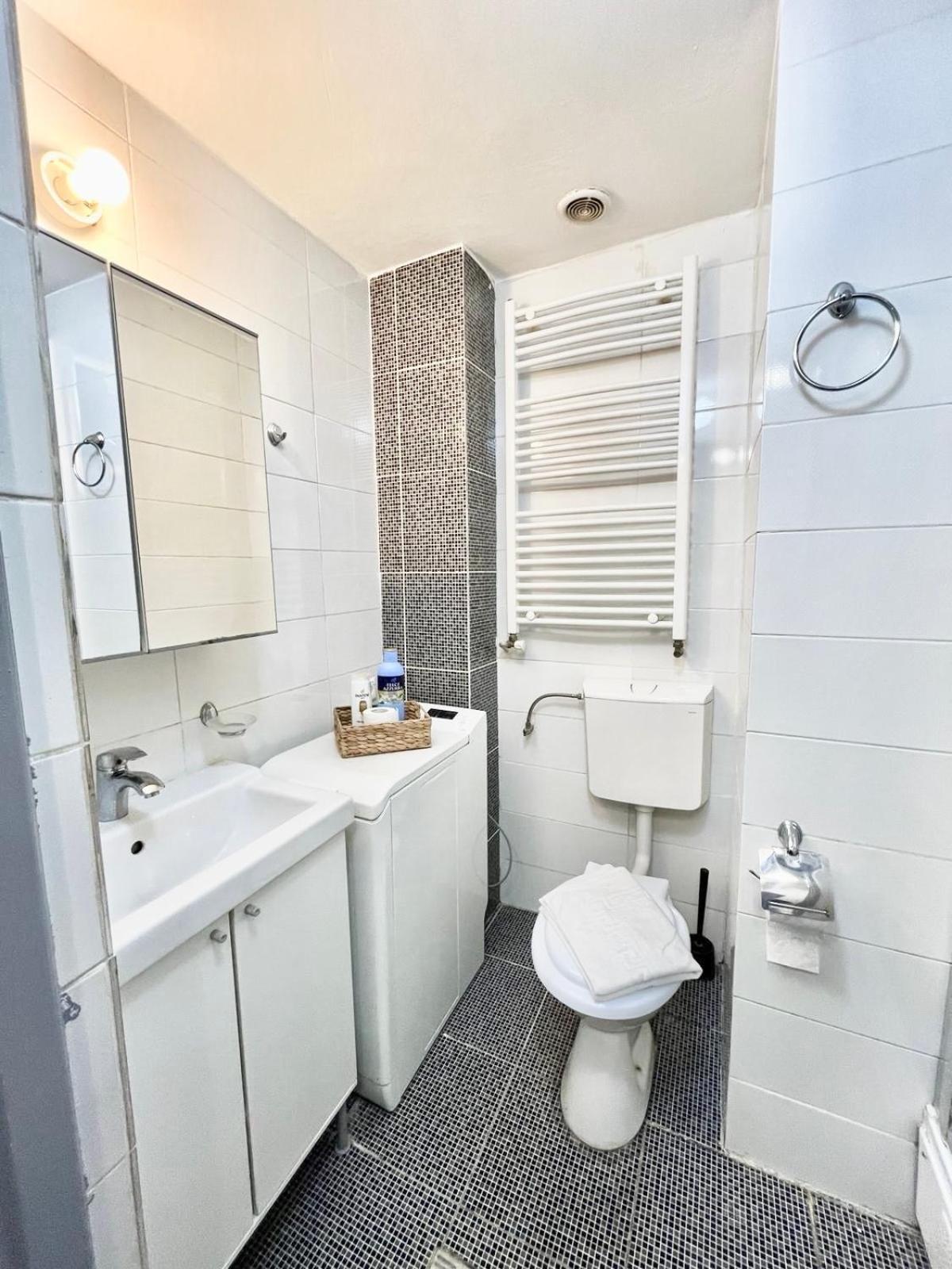 Victoriei Spacious Apartament *
