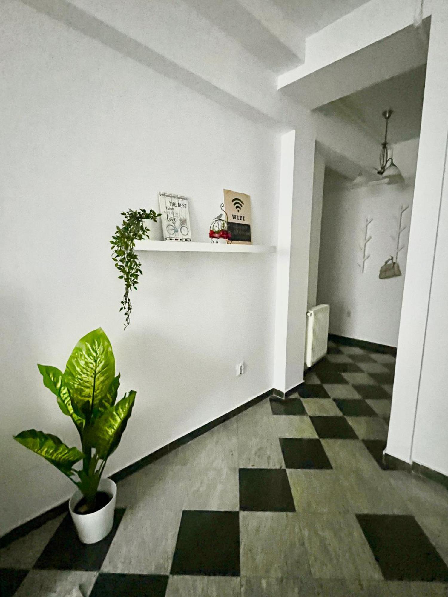 Victoriei Spacious Apartament *