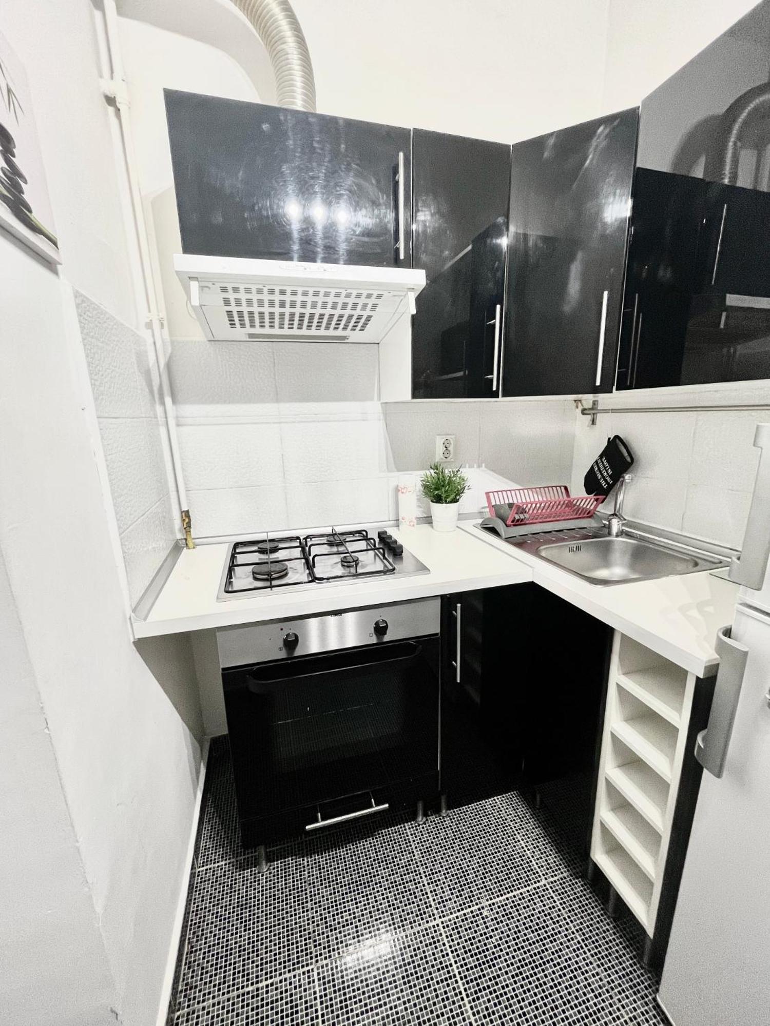 Victoriei Spacious Apartament *