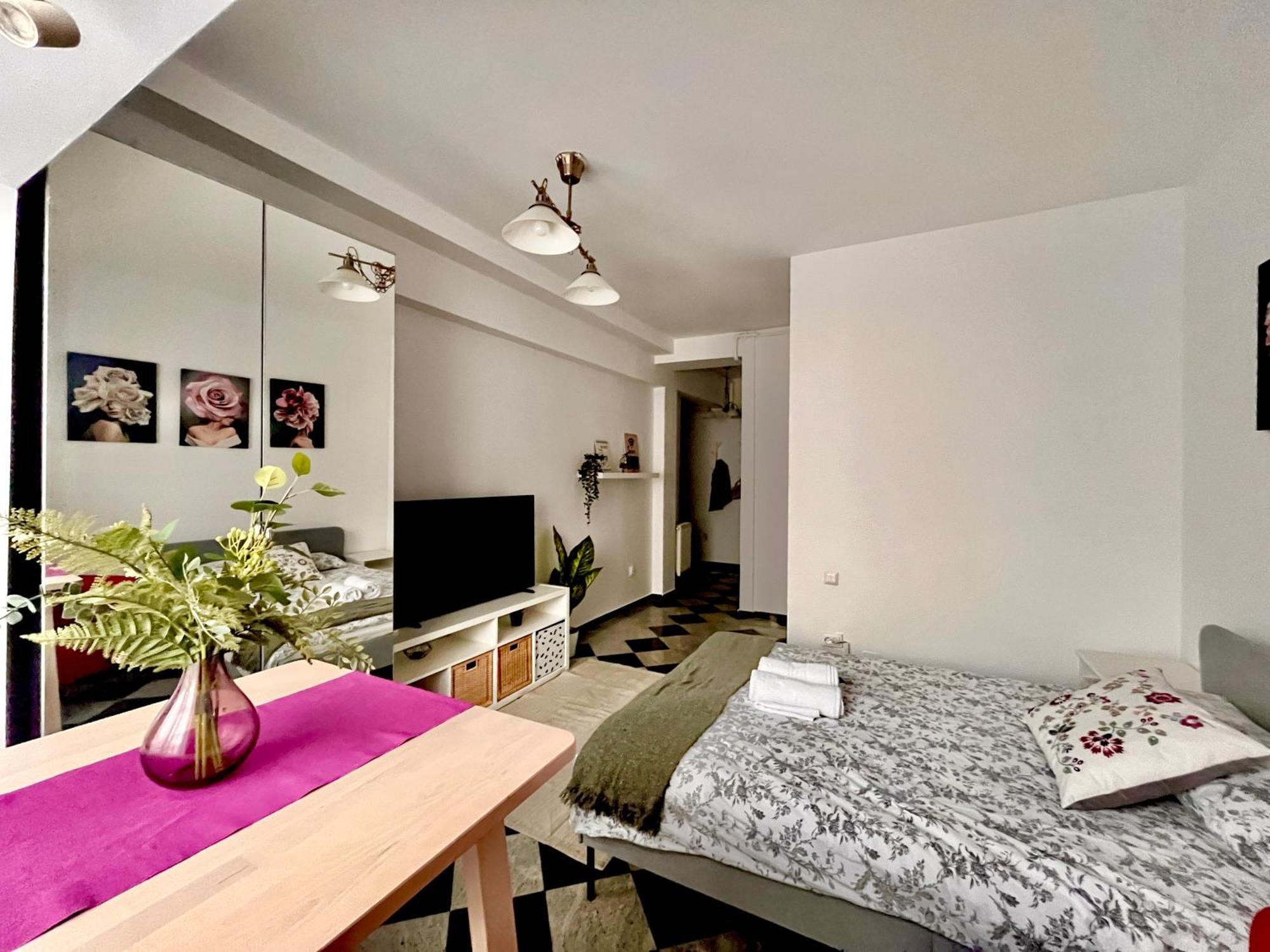 Apartament Victoriei Spacious Bucureşti