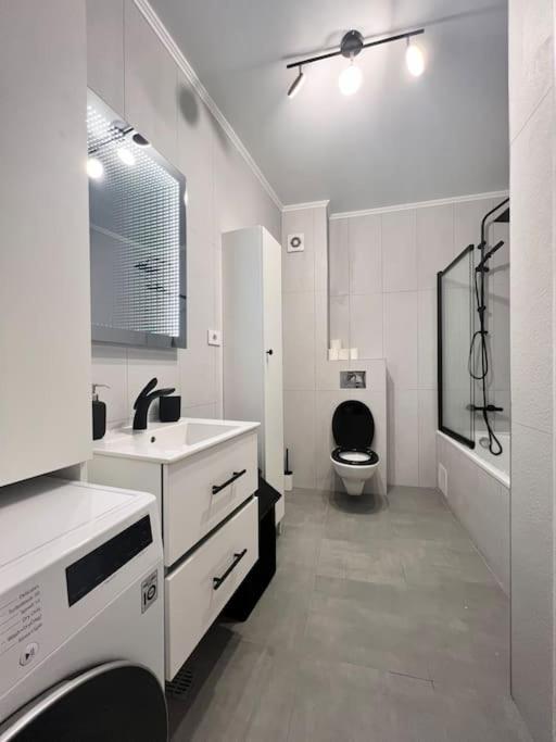 Central, Spacius Apartment. Bucareste